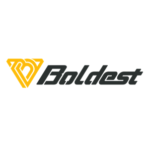 Boldest Logo